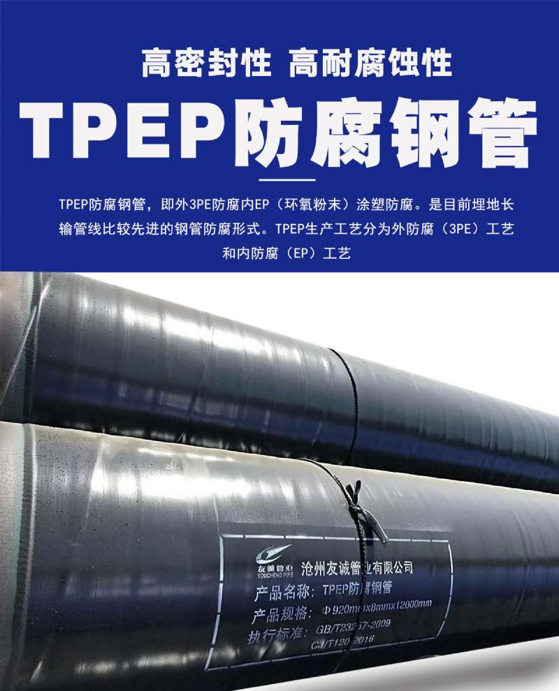 tpep�����o�p䓹�